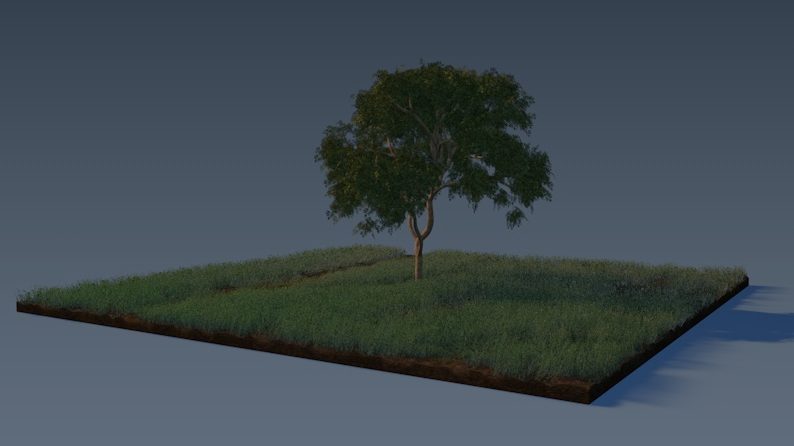 lonely tree